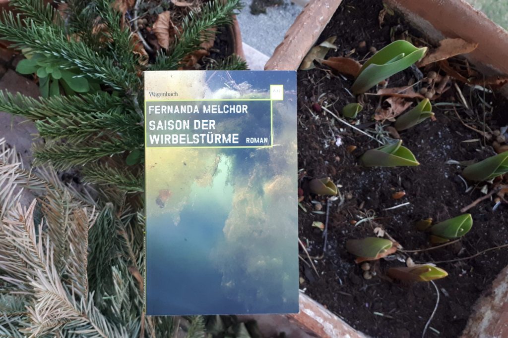 Saison der Wirbelstürme von Fernanda Melchor Buchcover